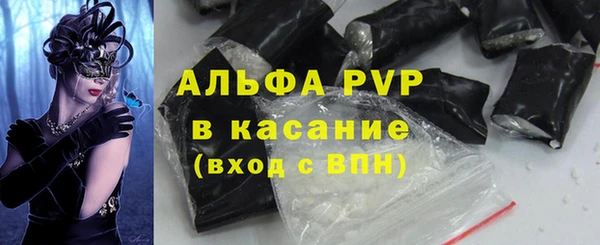 молекула духа Богданович