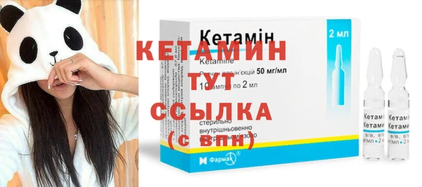 молекула духа Богданович