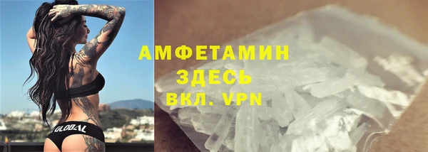 молекула духа Богданович