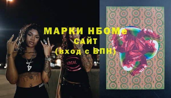 молекула духа Богданович