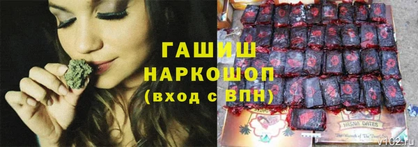 амф Верея
