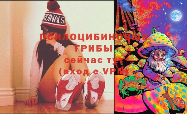 молекула духа Богданович