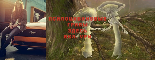 гашик Богородицк